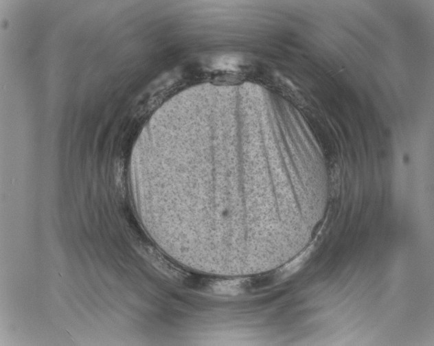 X0000060550178200511241234