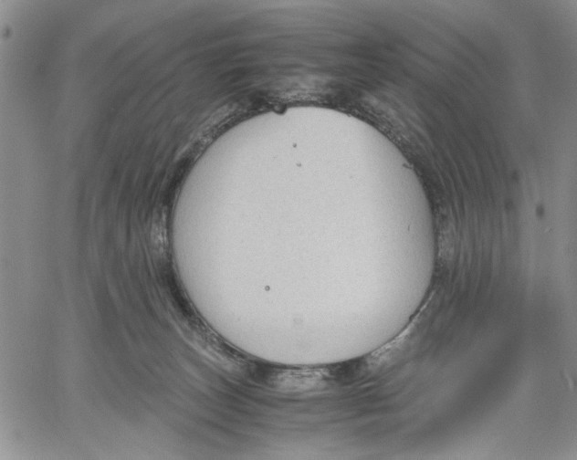 X0000060550179200511241234