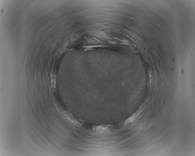 X0000060550180200511241234