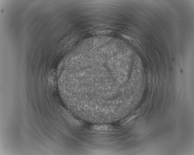 X0000060550181200511241234