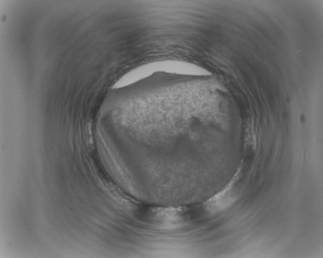 X0000060550182200511241234