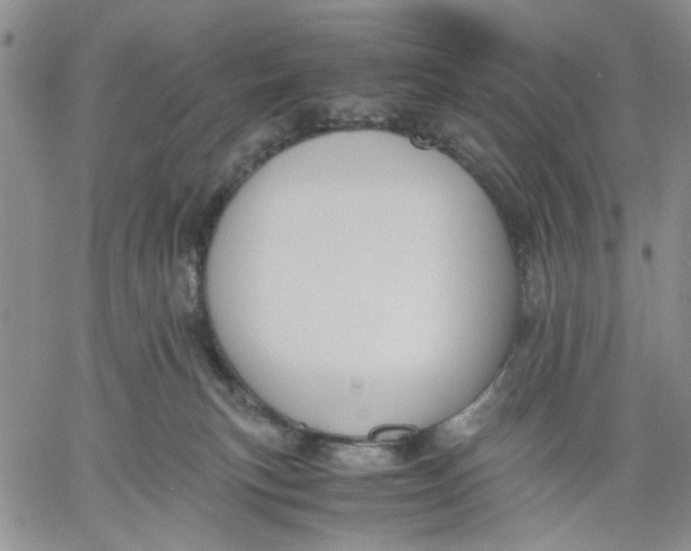 X0000060550183200511241234