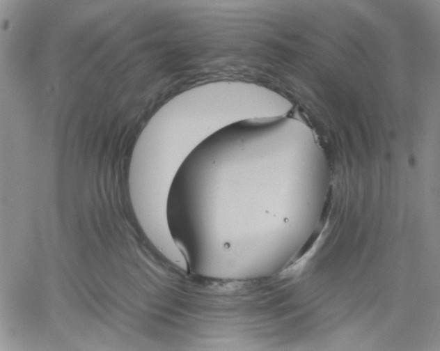 X0000060550186200511241234