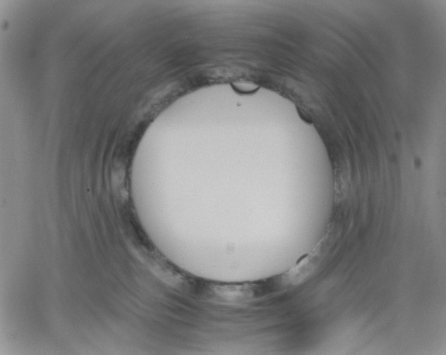 X0000060550187200511241234