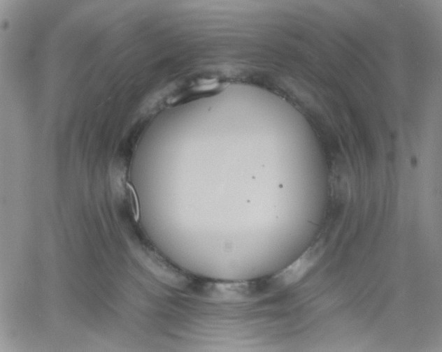 X0000060550188200511241234