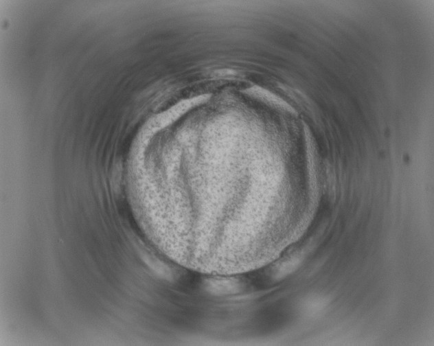 X0000060550189200511241234