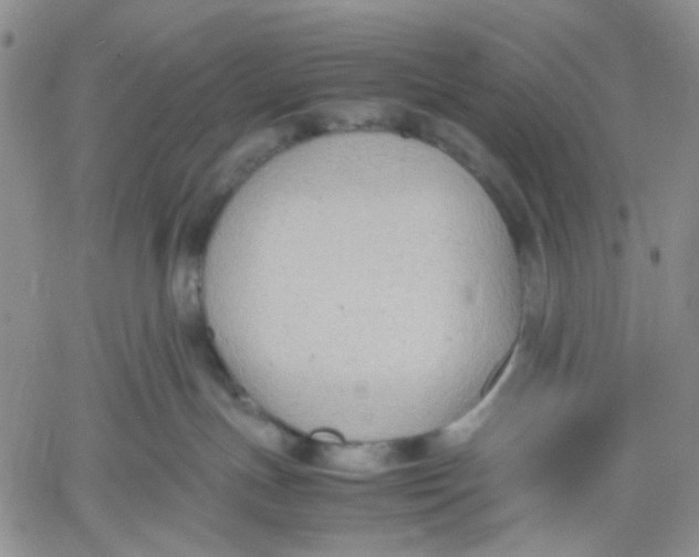 X0000060550191200511241234