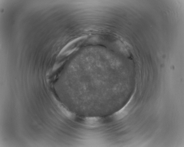 X0000060550192200511241234