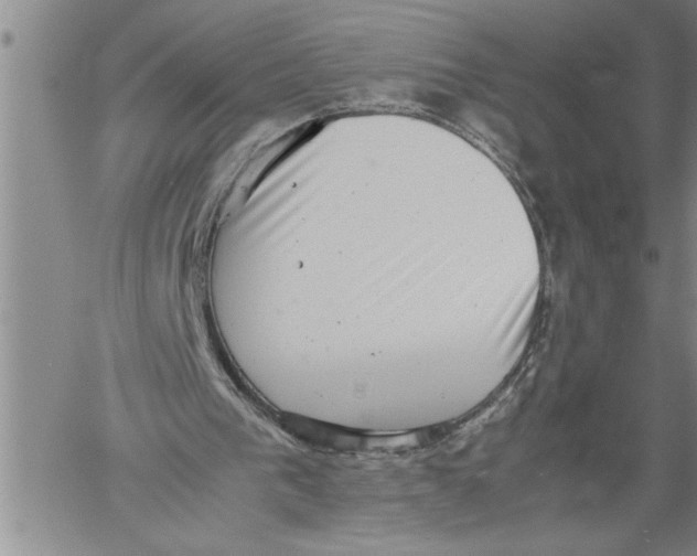 X0000060550193200511241234