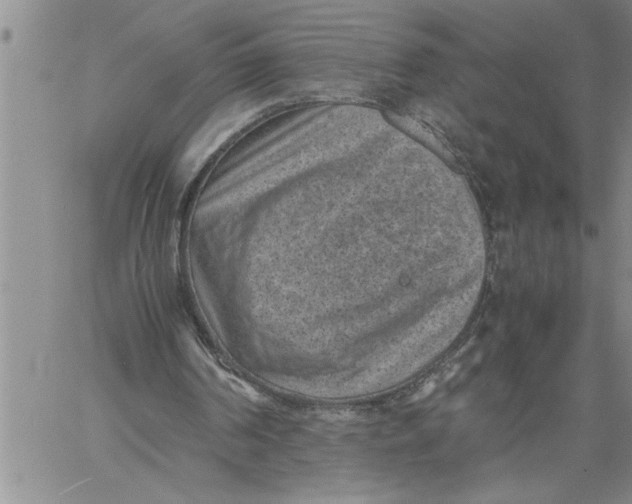 X0000060550194200511241234