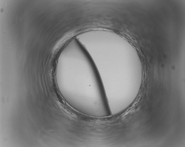 X0000060550197200511241234