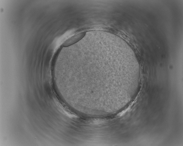 X0000060550198200511241234