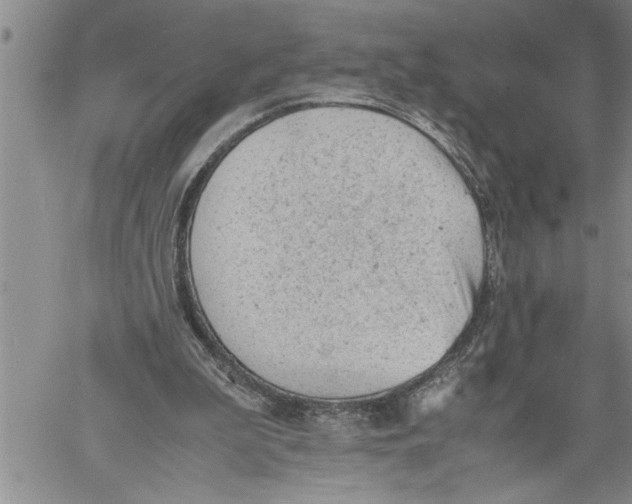 X0000060550199200511241234