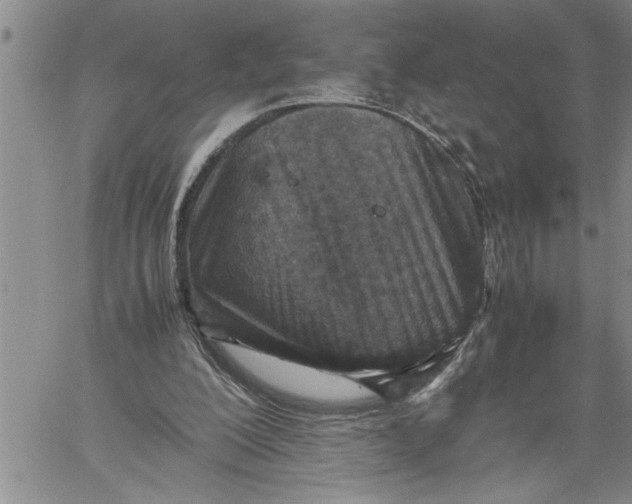 X0000060550200200511241234