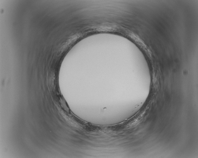 X0000060550201200511241234