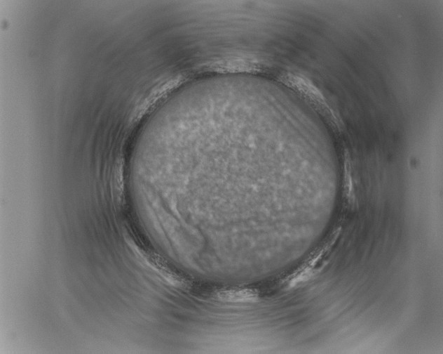 X0000060550202200511241234