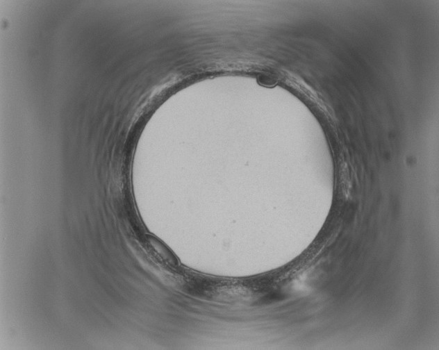 X0000060550203200511241234