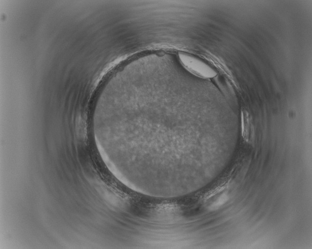 X0000060550204200511241234