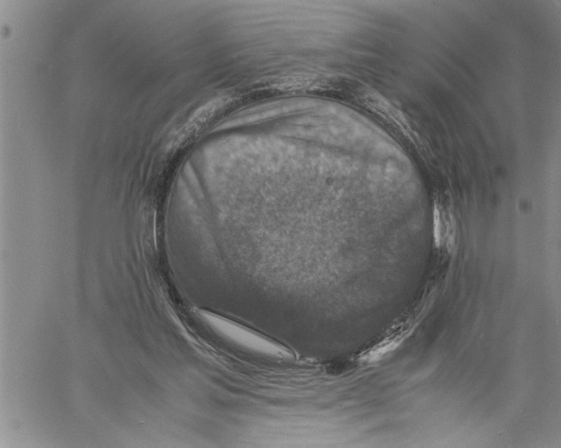 X0000060550205200511241234