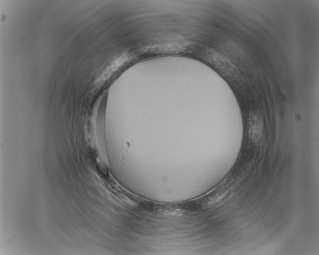 X0000060550206200511241233