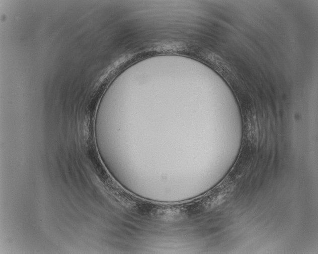 X0000060550208200511241233