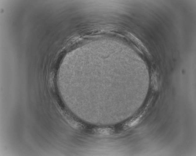 X0000060550209200511241233