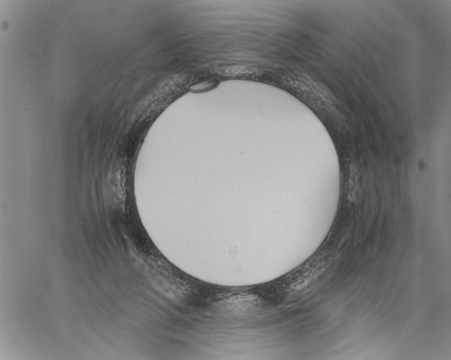 X0000060550210200511241233