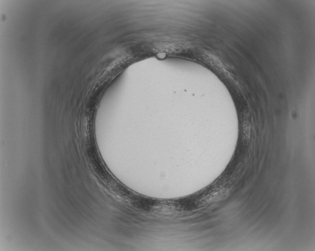 X0000060550211200511241233