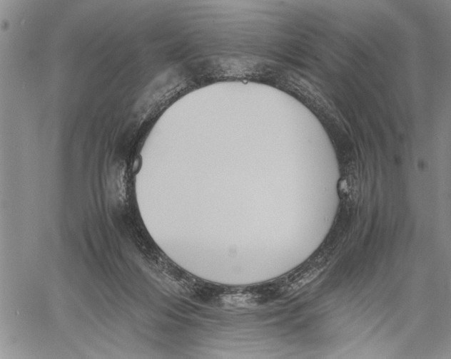 X0000060550216200511241233