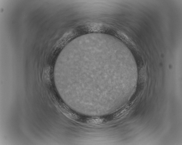 X0000060550217200511241233