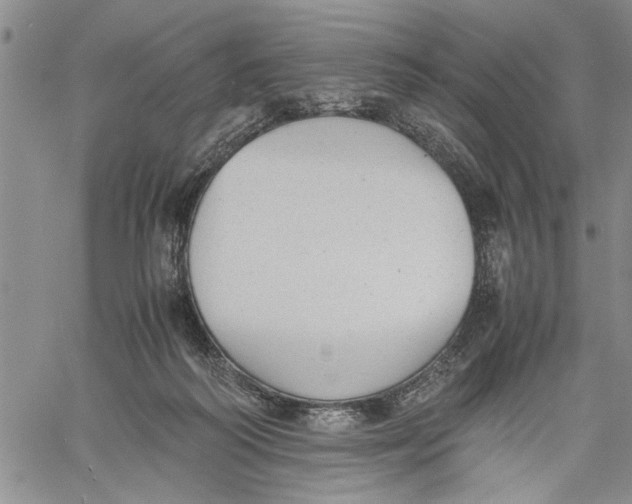 X0000060550218200511241233