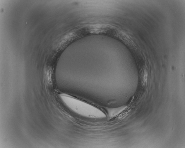 X0000060550219200511241233