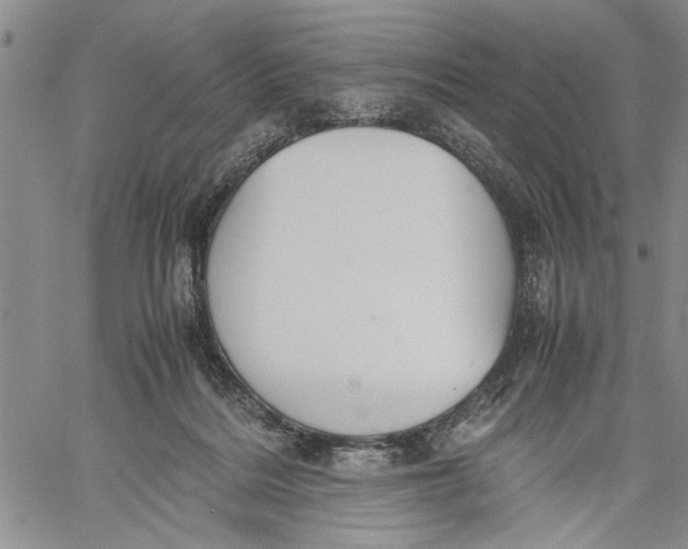 X0000060550220200511241233