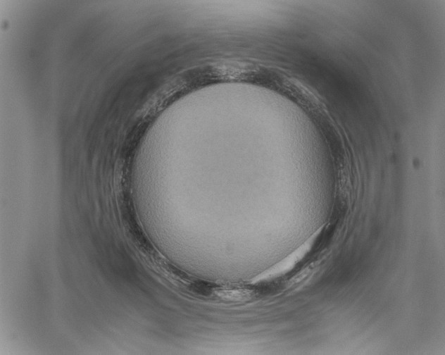 X0000060550221200511241233