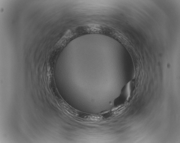 X0000060550223200511241233