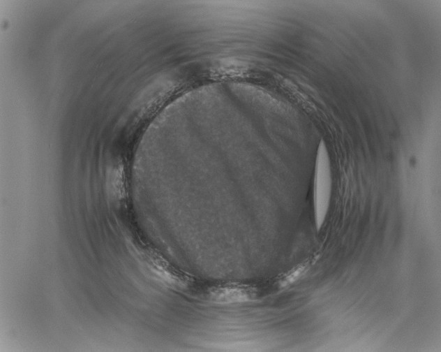 X0000060550224200511241233