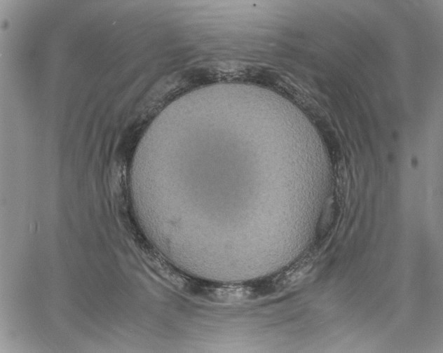 X0000060550225200511241233