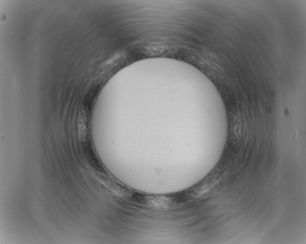 X0000060550226200511241233