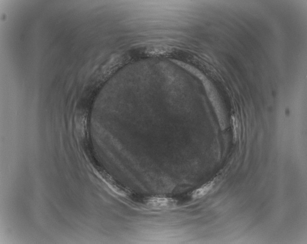 X0000060550227200511241233