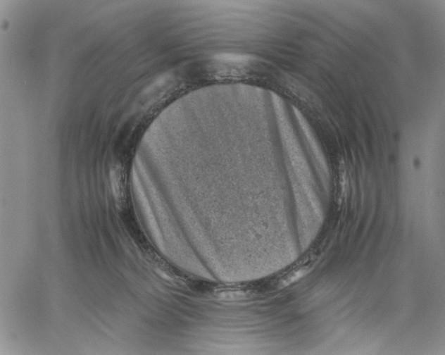 X0000060550228200511241233