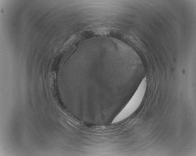 X0000060550229200511241233