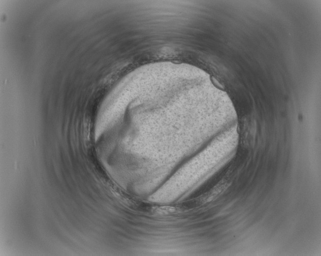 X0000060550230200511241233