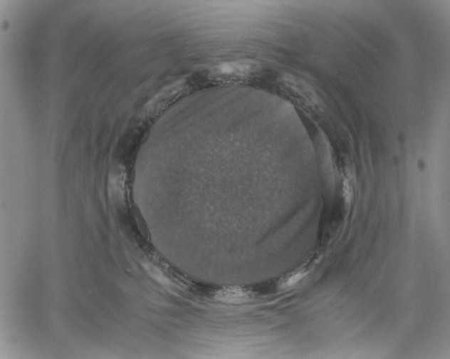 X0000060550231200511241233