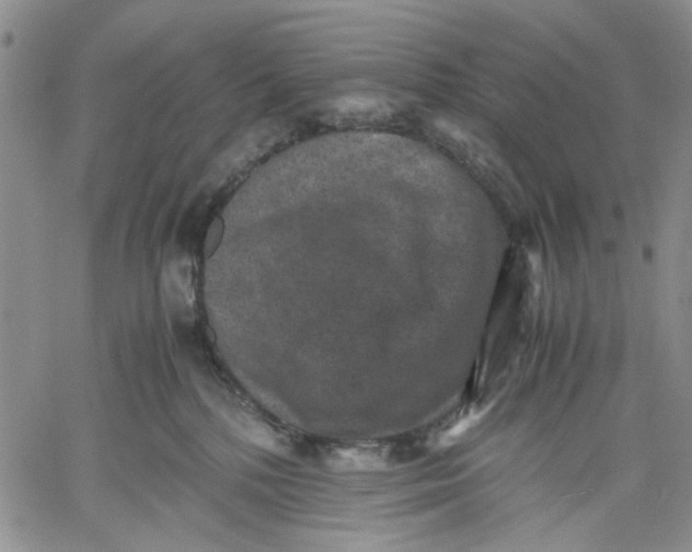 X0000060550232200511241233