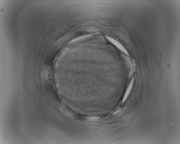 X0000060550233200511241233