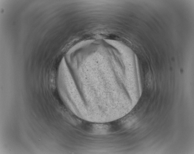 X0000060550234200511241233