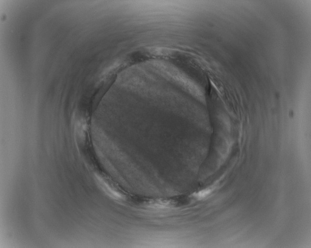 X0000060550235200511241233