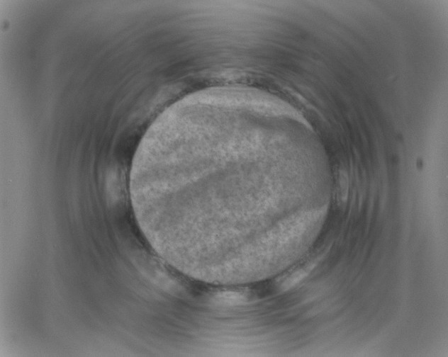 X0000060550236200511241233