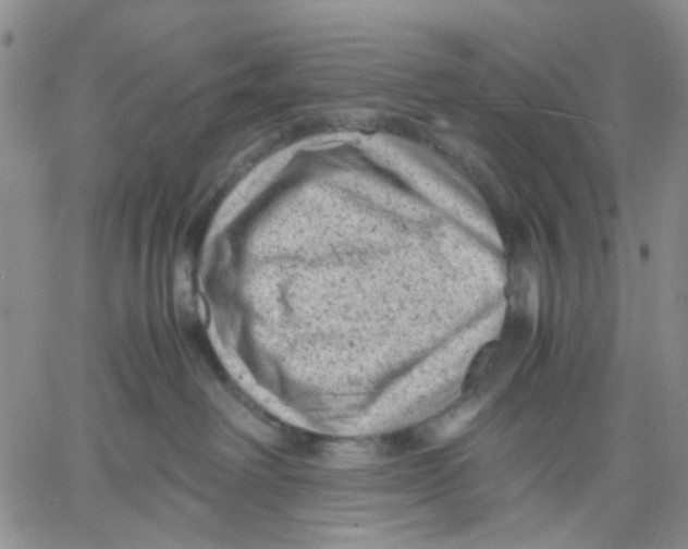 X0000060550238200511241233