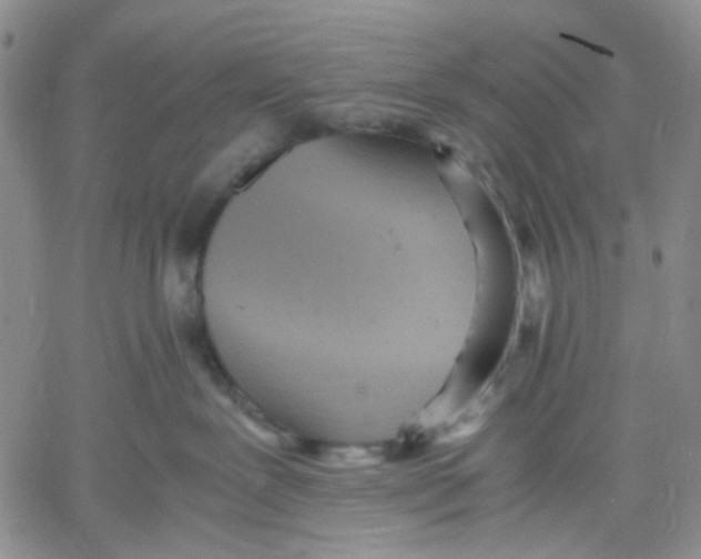 X0000060550239200511241233